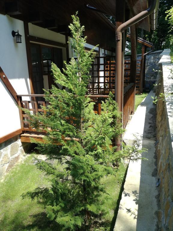 Casa Gozna Apartment Valiug Ngoại thất bức ảnh