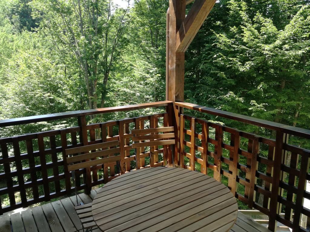 Casa Gozna Apartment Valiug Ngoại thất bức ảnh