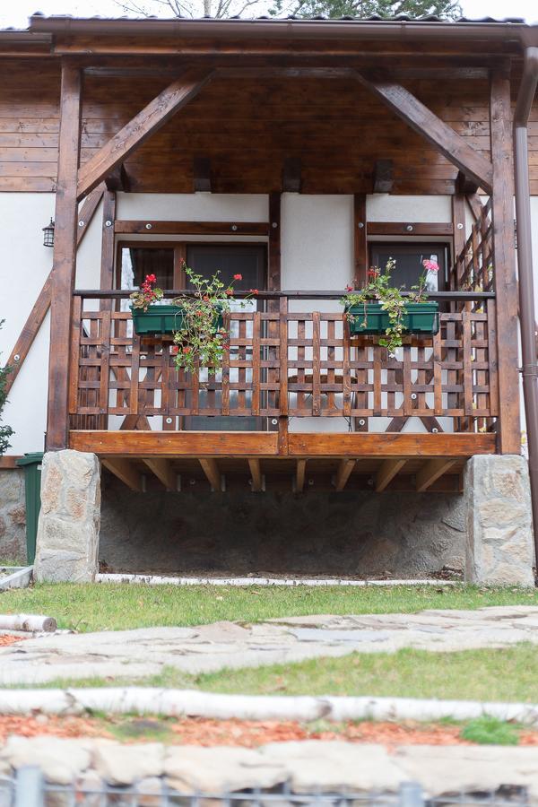 Casa Gozna Apartment Valiug Ngoại thất bức ảnh