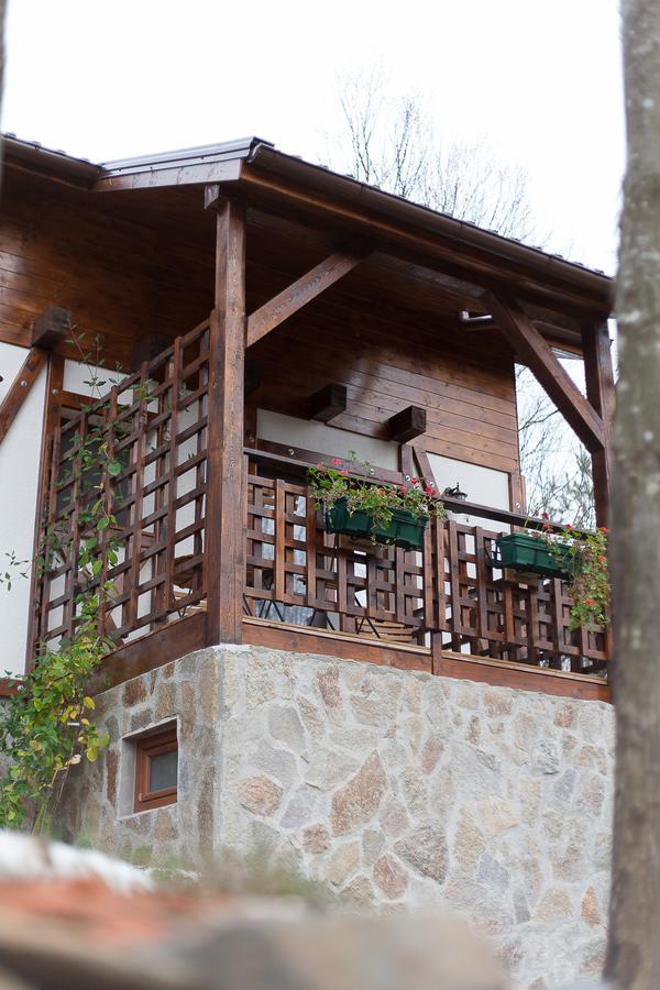 Casa Gozna Apartment Valiug Ngoại thất bức ảnh