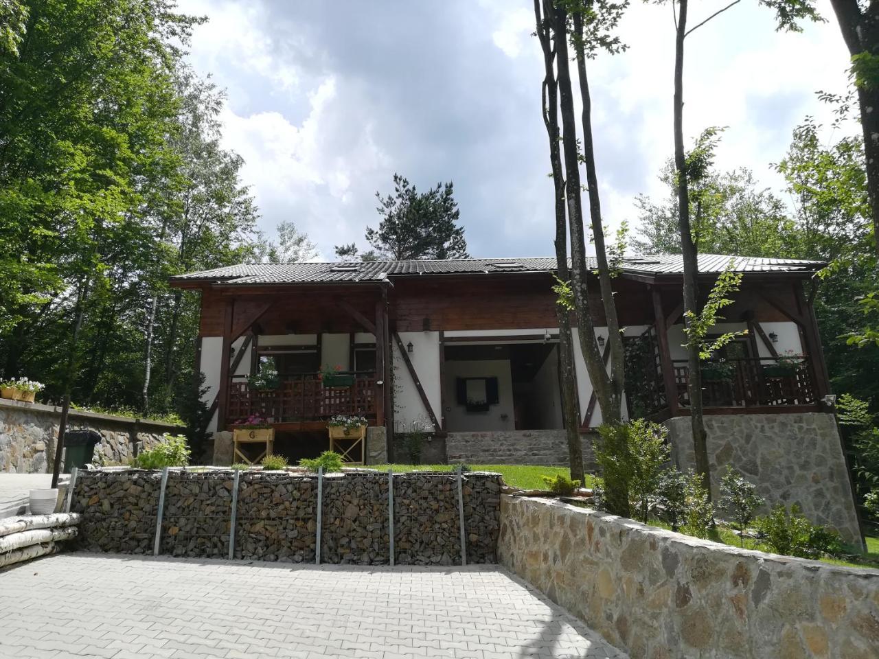 Casa Gozna Apartment Valiug Ngoại thất bức ảnh