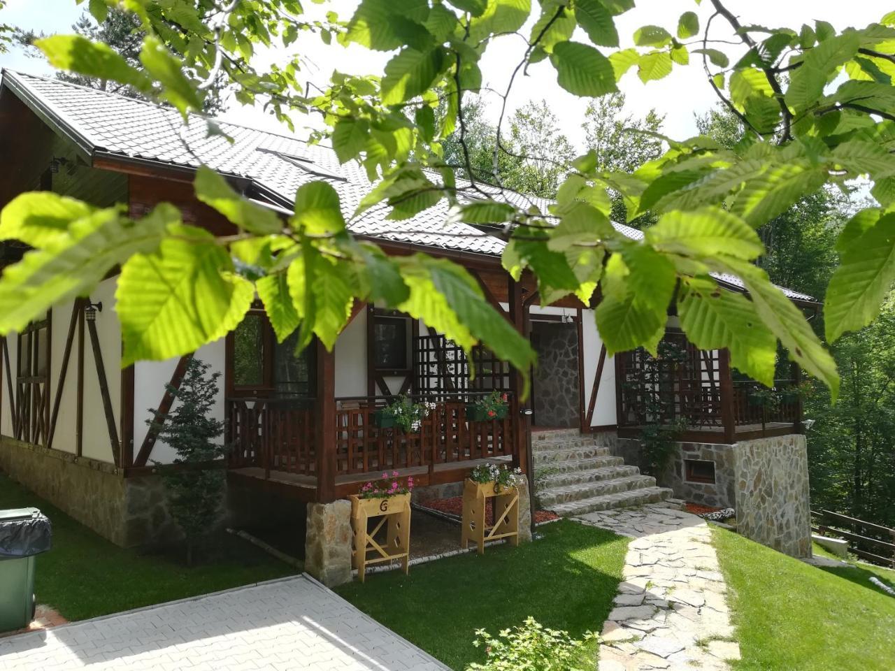 Casa Gozna Apartment Valiug Ngoại thất bức ảnh